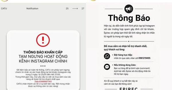 Hàng loạt brand 