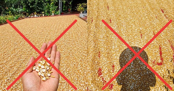 Cần xử nghiêm người đăng ảnh AI gây hoảng sợ trong nắng nóng cực độ ở miền Bắc