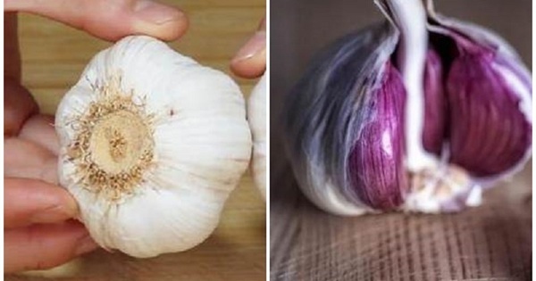 Tỏi vỏ tím hay tỏi vỏ trắng tốt hơn, Tỏi vỏ tím, tỏi vỏ trắng