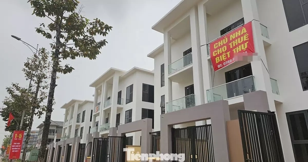 Giao dịch nhà ở thấp tầng Hà Nội giảm mạnh, giá đi ngang