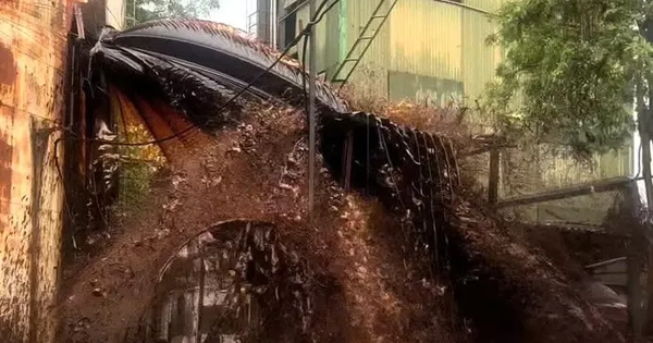Sét đánh làm 2.000 tấn mật tràn ra ngoài: Có độc không, xử lý thế nào?