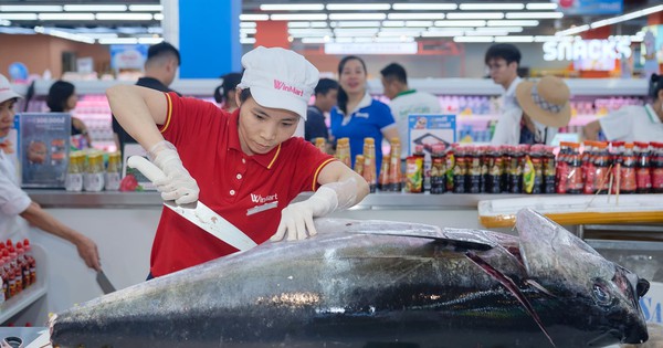 Từ khoản lỗ 3.700 tỷ đến kế hoạch IPO 10 tỷ USD: WinCommerce làm gì để mở hàng nghìn cửa hàng nhưng không phải “đốt tiền”?