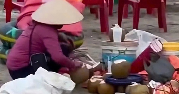 Gom nước dừa thừa ở bãi biển Ninh Bình: Chủ quán bị cấm kinh doanh