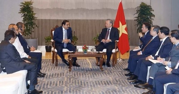 Gặp tỷ phú mong muốn đầu tư 10 tỷ USD vào VN, Tổng Bí thư, Chủ tịch nước đề nghị hợp tác lĩnh vực gì?