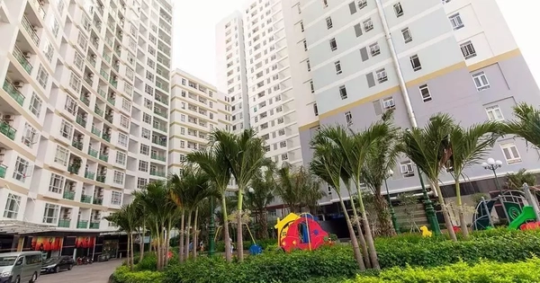 TPHCM xem xét cấp sổ cho người mua ô đậu xe ô tô ở chung cư