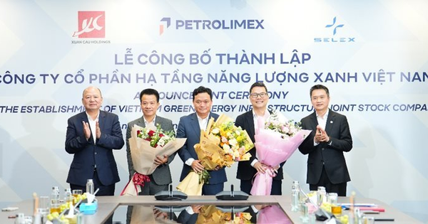 Petrolimex góp bao nhiêu vốn khi bắt tay Xuân Cầu Holdings và Selex Motors xây trạm sạc?