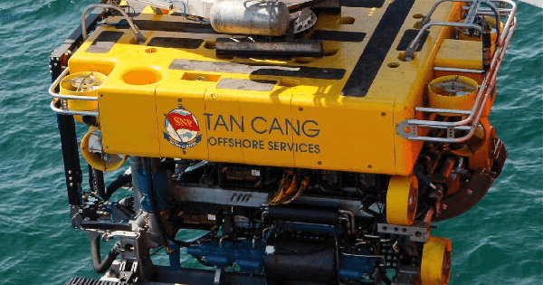 Ảnh minh hoạ cho Dịch vụ biển Tân Cảng (TOS) báo lãi tăng trưởng trước thềm chuyển sàn HoSE
