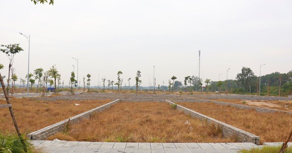 Đất đấu giá Hà Nội: Qua thời “sóng” giá
