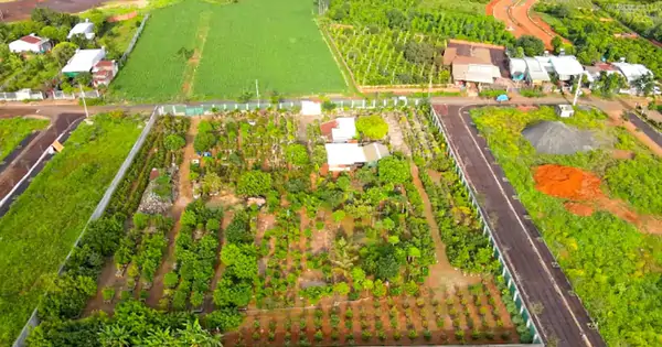 Vì sao chưa thu hồi được hơn 15 tỉ đồng tiền cọc đấu giá đất tại Gia Lai?