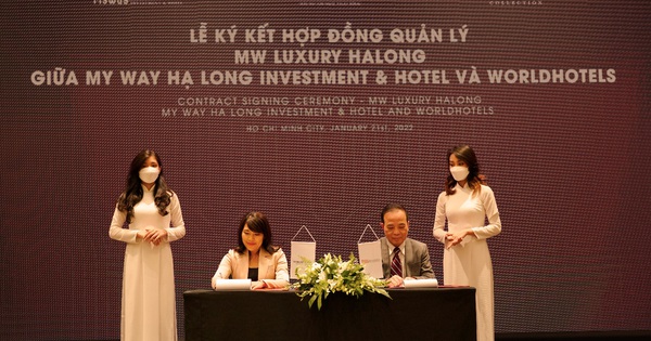 Read more about the article MW Luxury Halong hợp tác quản lý và vận hành với WorldHotels