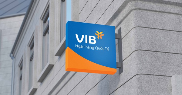 VIB công bố KQKD năm 2021, lợi nhuận vượt 8.000 tỷ đồng, tăng trưởng 38%