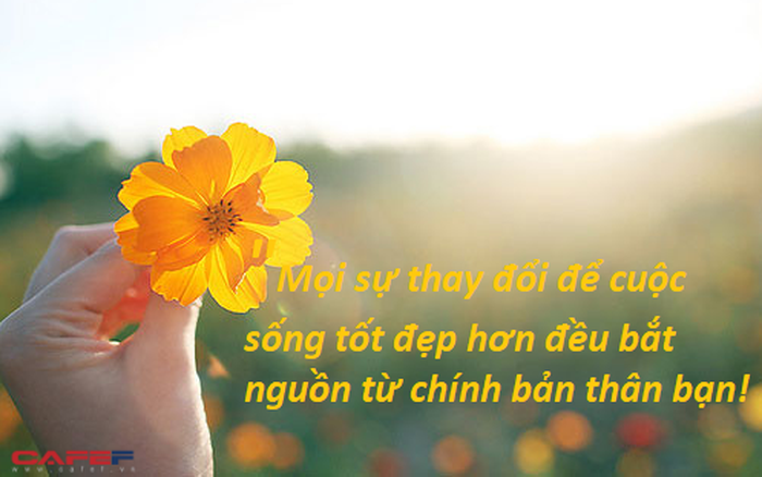 Những hình ảnh mang đến cảm giác buồn sẽ được xóa tan đi nhờ vào bộ sưu tập của chúng tôi. Chỉ cần nhìn vào những hình ảnh này, bạn sẽ cảm thấy giải toả những cảm xúc tiêu cực và tìm thấy niềm vui mới.