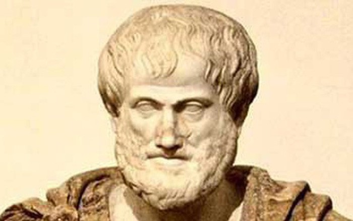 Triết Gia Hy Lạp Aristotle: Tư Duy Và Giá Trị Đương Đại 3 Các lĩnh vực nghiên cứu và tư tưởng triết học của Aristotle