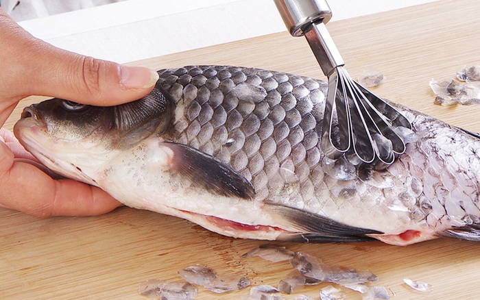Một bộ phận của cá được cho là "thần dược" sức khỏe, nhưng 99% bị vứt đi
