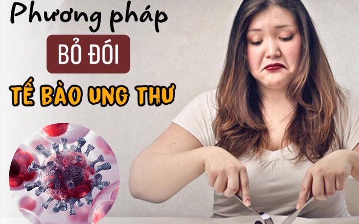 TẾ BÀO UNG THƯ SỢ NHIỆT ĐỘ CAO NHẤT
