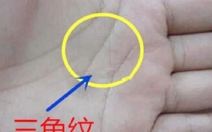 Ý nghĩa của hình tam giác trong lòng bàn tay