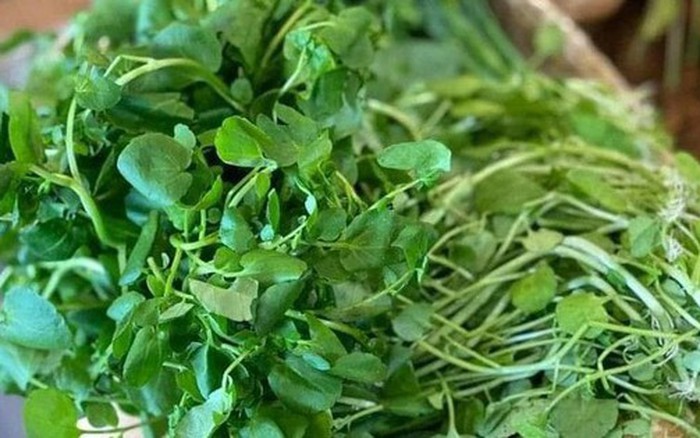 Loại rau được đánh giá 'bẩn nhất' nhưng có thể giúp ngăn ngừa ung thư