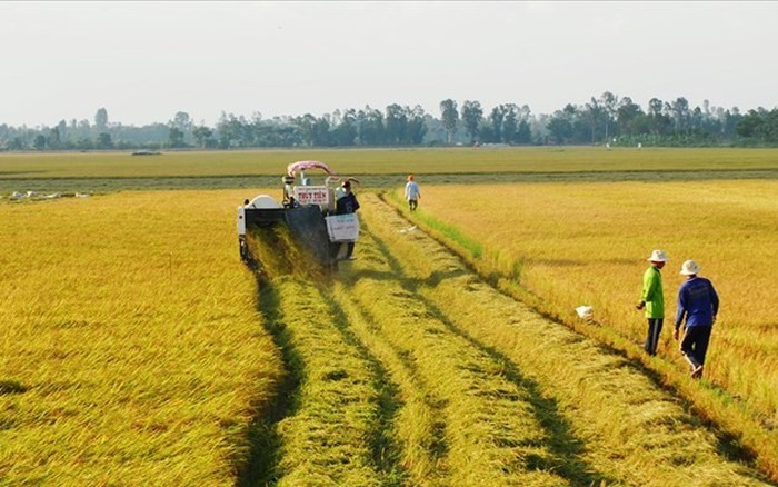 Điểm mới của Luật Đất đai 2024: Không cần xác nhận là "nông dân" vẫn được  nhận chuyển nhượng đất lúa