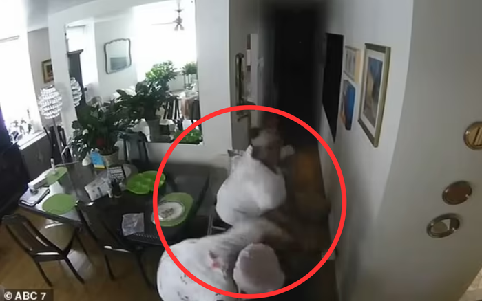 Ác mộng của cụ bà 95 tuổi được con cháu thuê điều dưỡng chăm sóc: Camera  ghi lại cảnh tượng kinh hoàng