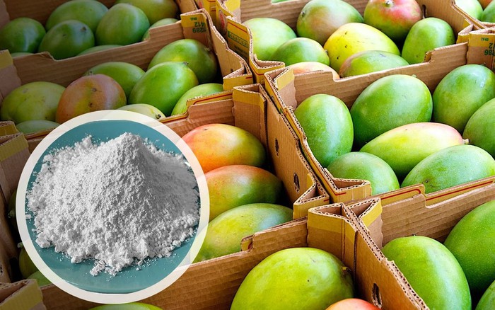 XIN NHẮC NHỞ: 3 loại tr&aacute;i c&acirc;y tế b&agrave;o ung thư "y&ecirc;u th&iacute;ch", b&aacute;c sĩ kh&ocirc;ng d&aacute;m  động nhưng nhiều người ng&agrave;y n&agrave;o cũng ăn