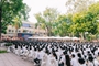 Ngôi trường có tỷ lệ chọi “căng” nhất trong kỳ thi lớp 10 công lập ở Hà Nội năm nay: Liên tục có điểm chuẩn thuộc top đầu
